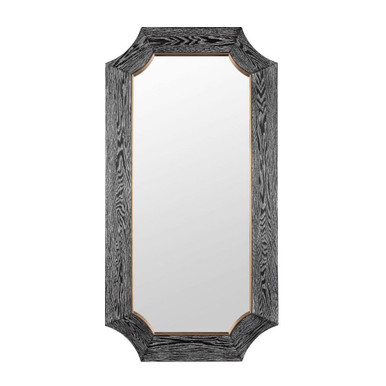 Farra Wall Mirror 54 Inch Tall and 28 Inch Wide By Varaluz - 449MI28