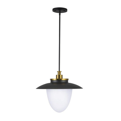 Dahlia 3 Light Pendant 17.5 Inch Tall and 20 Inch Wide by Artcraft - AC11906BB