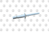 1/4 WHITE POP RIVET