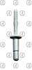 1/4 WHITE POP RIVET