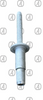 1/4 WHITE POP RIVET