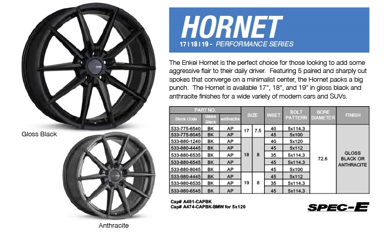 31-31-hornet.jpg