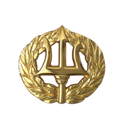 US Navy Command Ashore Badge