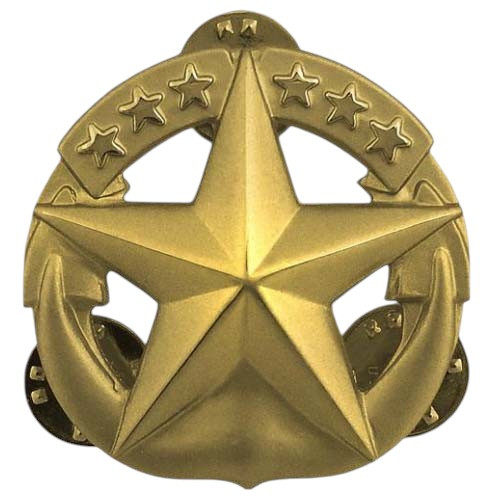 US Navy Command at Sea Badge [Gold]