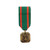 Navy and Marine Corps Achievement Miniature