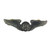 USAF Badge - Aircrew