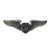 USAF Astronaut Flight Surgeon