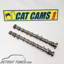 MINI Cooper Cat Cams