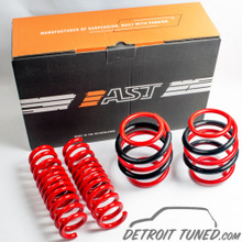 AST MINI Cooper Countryman R60 Drop Springs