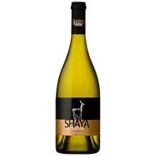  2019 Bodegas Shaya Habis Verdejo