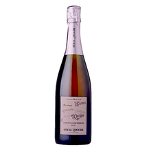 2022 Zucchi Brut Lambrusco di Sorbara 750 ml