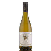 2023 Sergio Mottura Grechetto 'Poggio della Costa'