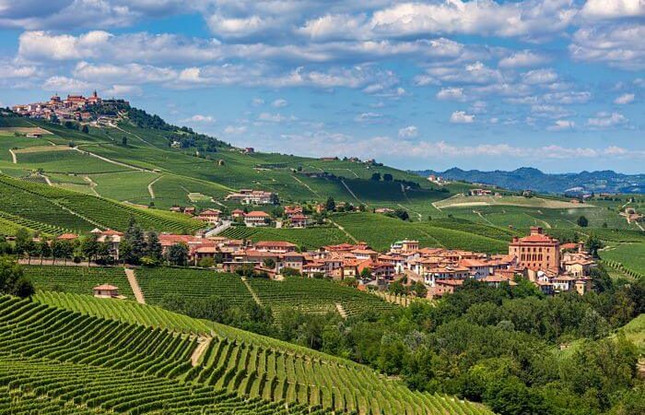 Mountain Brunello 2019- Altitude With Attitude?