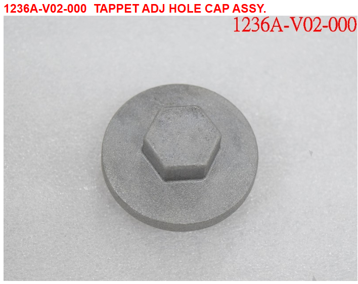 04 Tappet Adj Hole Cap Assy - Citycom S 300i