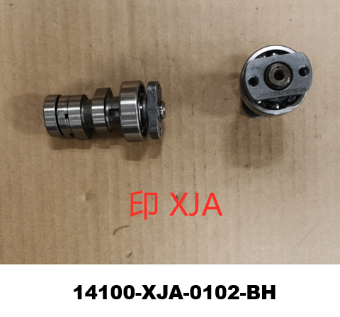 01 Cam Shaft COMP -  Fiddle III