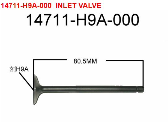 09 Inlet Valve - HD 200 Evo