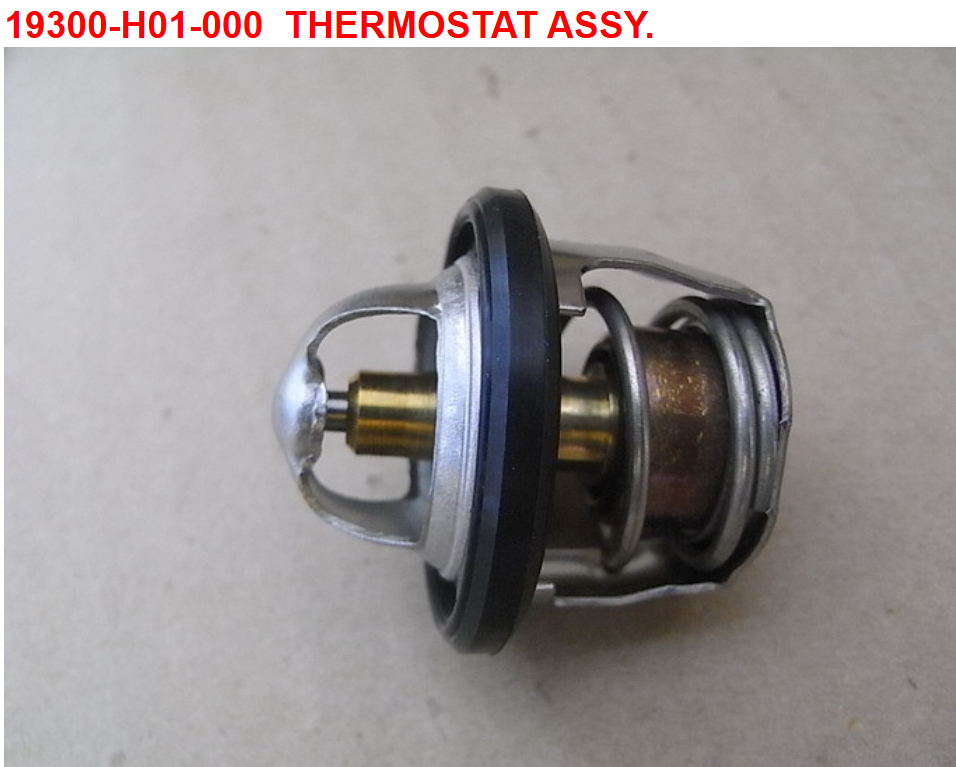 30 Thermostat Assy - HD 200 Evo