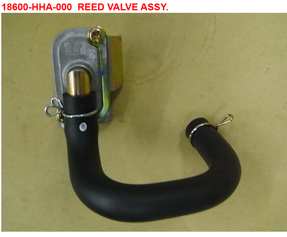 07 Reed Valve Assy - HD 200 Evo