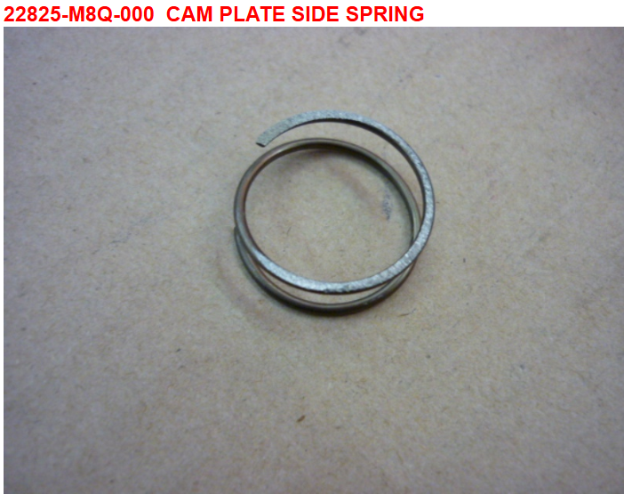 07-CAM PLATE SIDE SPRING - Symba 100