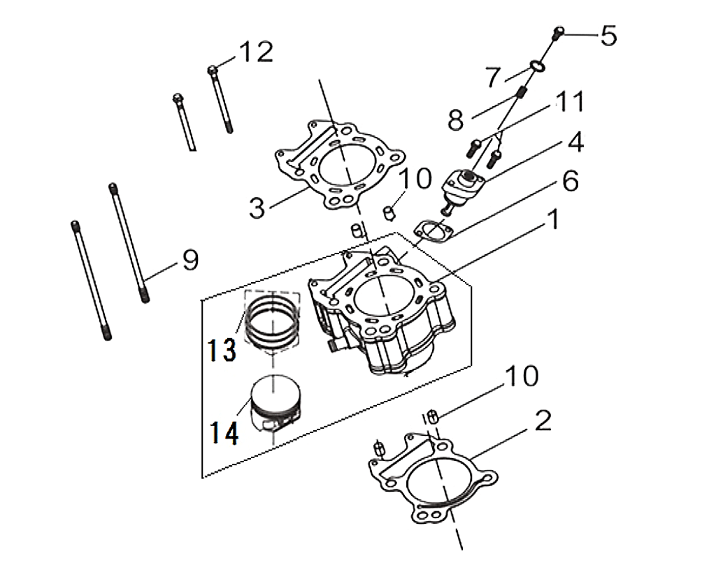 02-CYLINDER GASKET - Wolf CR 300i