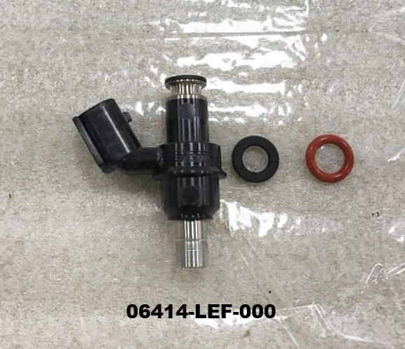 01-FUEL INJECTOR - Wolf CR 300i