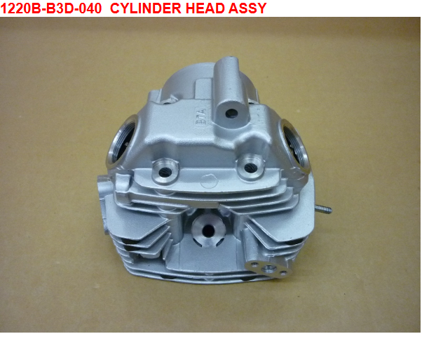 04 Cylinder Head ASSY - Wolf Classic 150
