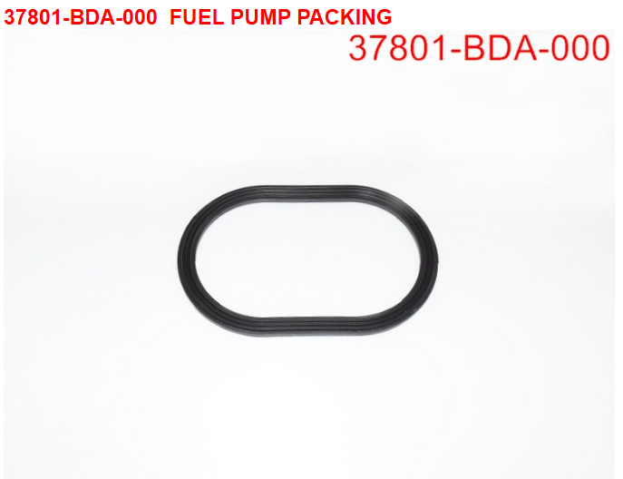 21-FUEL PUMP STAY PACKING - Wolf CR 300i