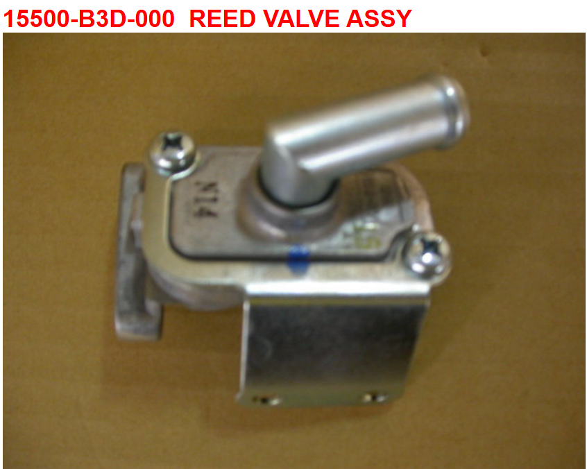 21 Reed Valve Assy - Wolf Classic 150