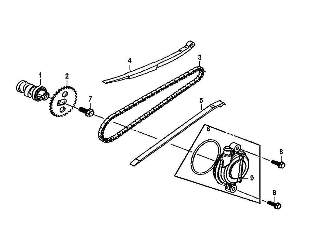 06-O-ring 67X2.5 - Mio50 2019