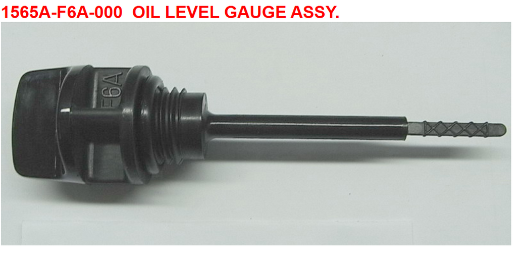 06-OIL LEVEL GAUGE