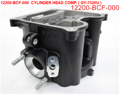 01-CYLINDER HEAD COMP - Wolf CR 300i