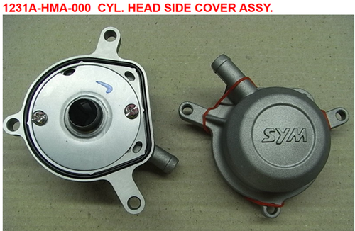 01-CYLINDER HEAD COVER ASSY - Citycom 300i