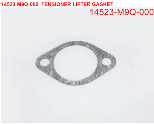 06-TENSIONER LIFTER GASKET - Wolf CR 300i