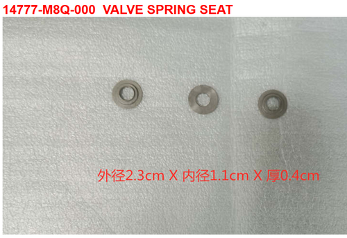 10-VALVE SPRING SEAT - Wolf CR 300i