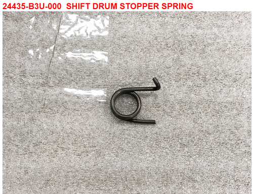08-SHIFT DRUM STOPPER SPRING - Wolf CR 300i