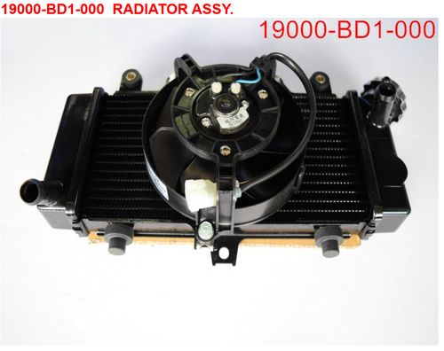 01-RADIATOR ASSY - Wolf CR 300i