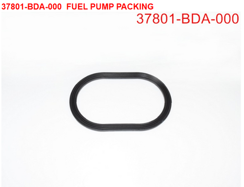 21-FUEL PUMP STAY PACKING - Wolf CR 300i