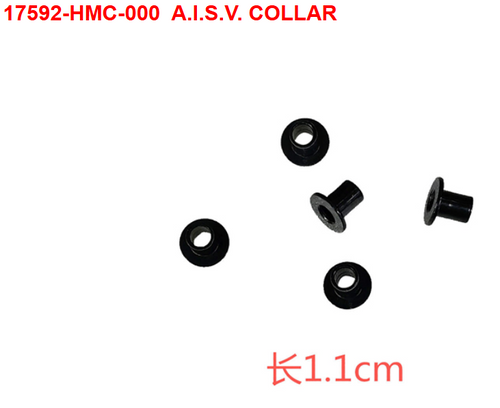 02-A.I.S.V.COLLAR - Citycom 300i