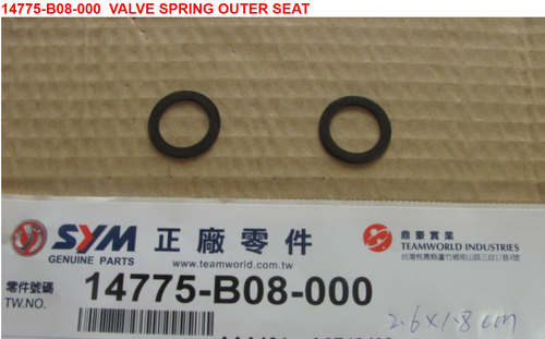 11 Valve Spring Outer Seat - Wolf Classic 150