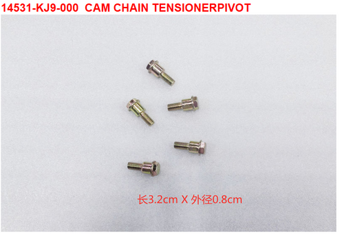 02-CAM CHAIN TENSIONERPIVOT - Wolf CR 300i