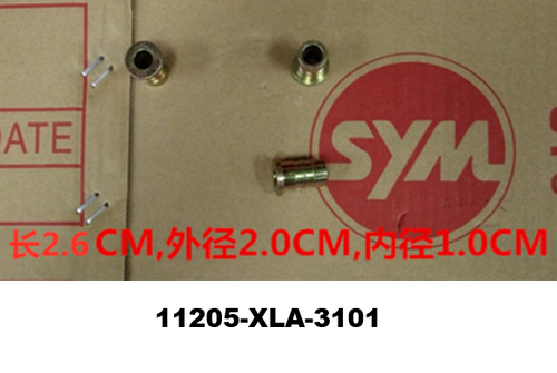 01-Main stand bush - Mio50 2019