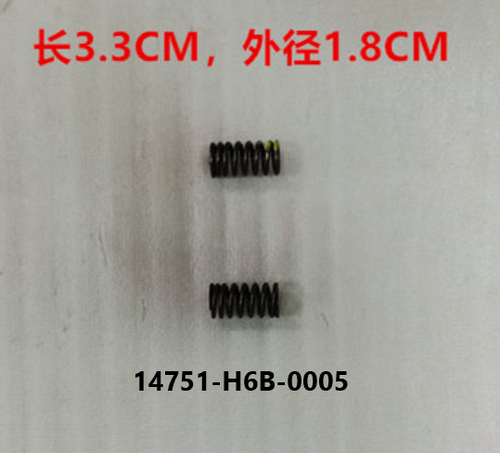 09 Valve Spring - Mio 50