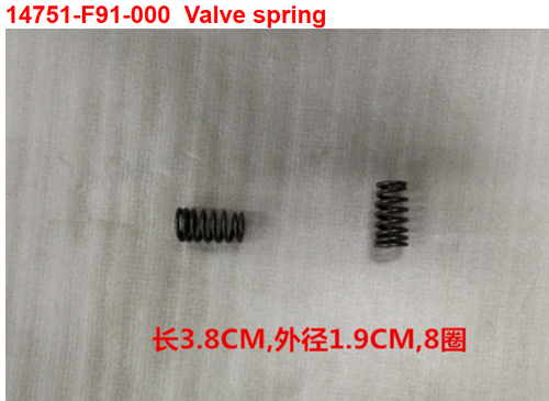 11-VALVE SPRING