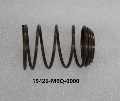 05-OIL FILTER SCREEN SPG