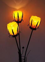 Sun Rise Magnolia Lamp