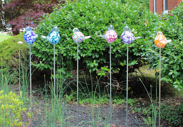 Garden Birdies!