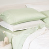 serene-green