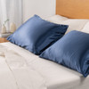 indigo-blue