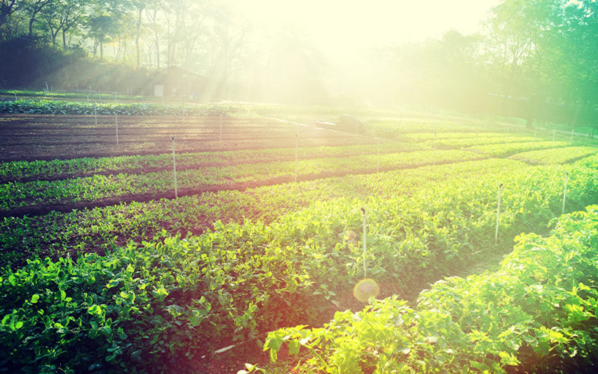 8 Easy Ways To Live More Sustainably