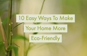 10 Easy Ways To Make Your Home More Eco-Friendly